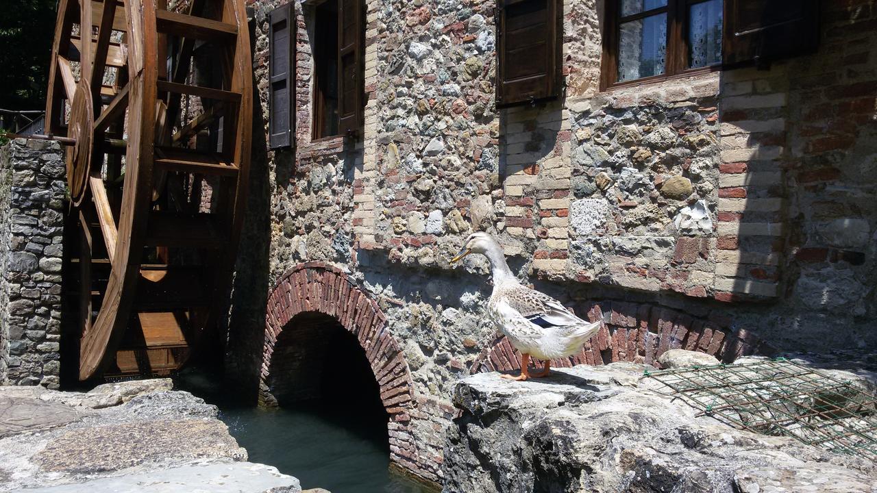 קיוסדינו Agriturismo Il Mulino Delle Pile מראה חיצוני תמונה