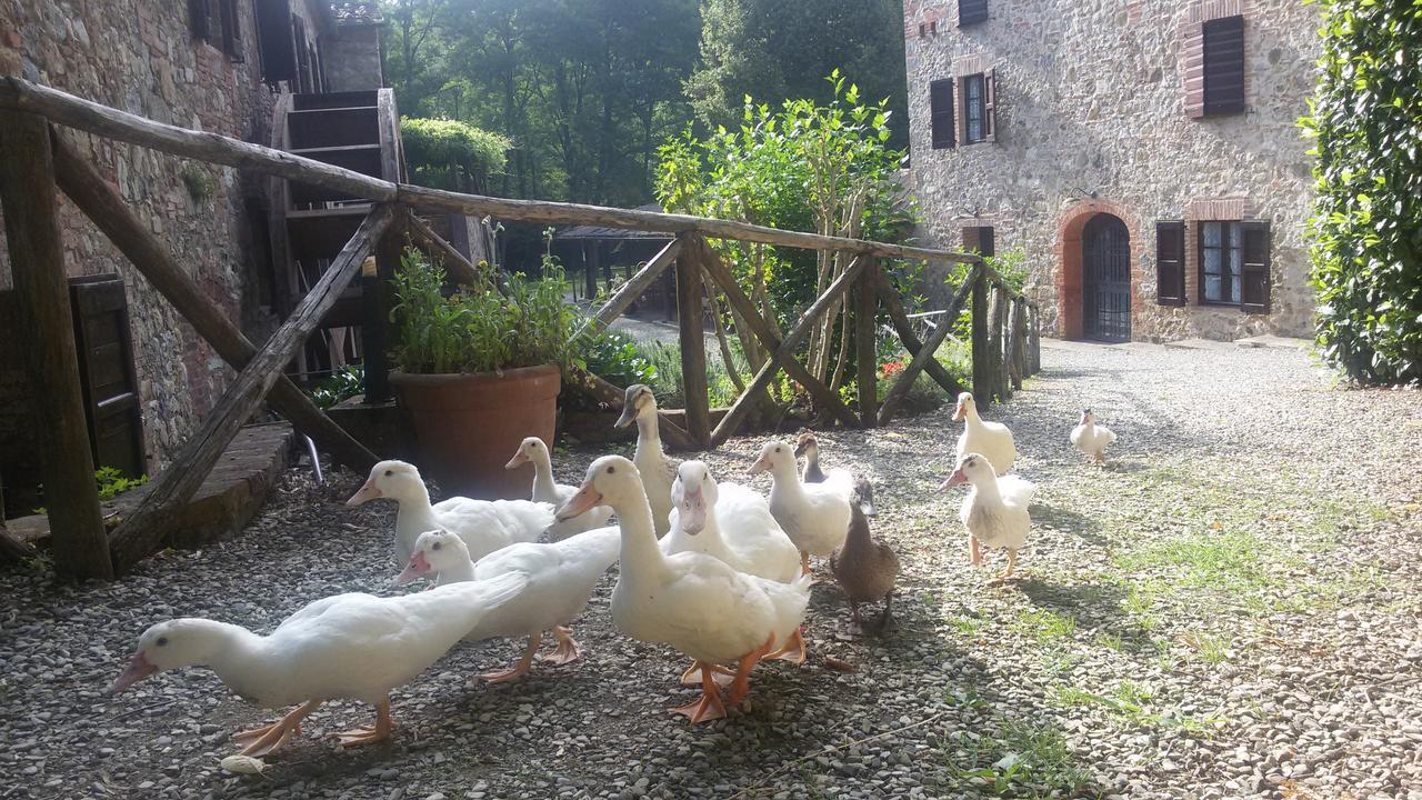 קיוסדינו Agriturismo Il Mulino Delle Pile מראה חיצוני תמונה