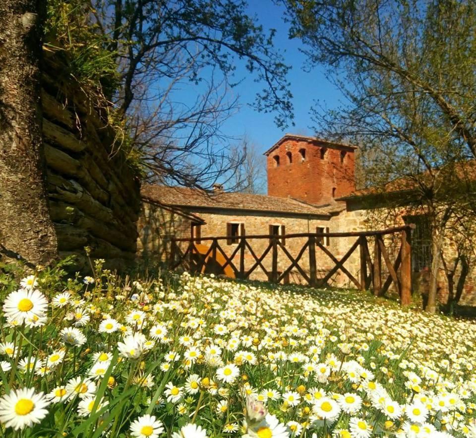 קיוסדינו Agriturismo Il Mulino Delle Pile מראה חיצוני תמונה